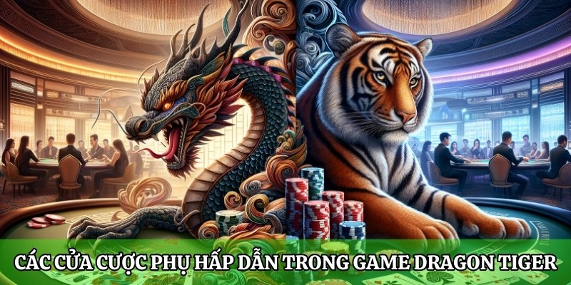 Các cửa cược phụ hấp dẫn trong game Dragon Tiger