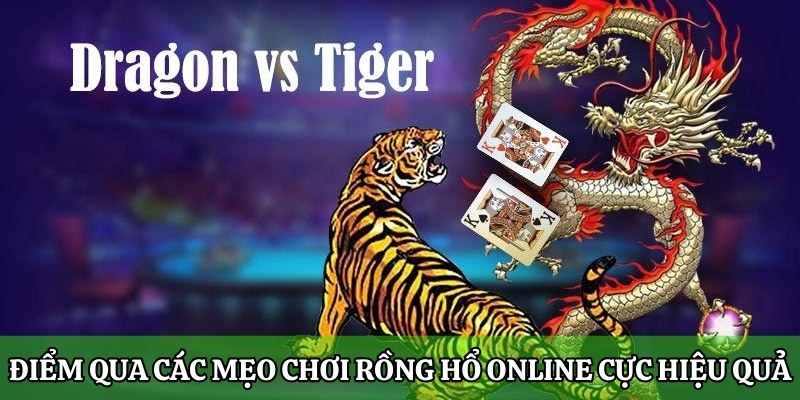 Điểm qua các mẹo chơi Rồng Hổ online cực hiệu quả